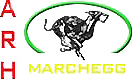 ARH - Austrian Racing Hounds - Marchegg